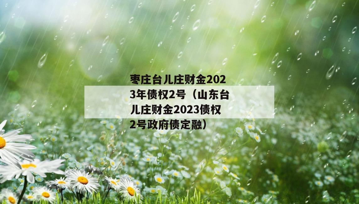 枣庄台儿庄财金2023年债权2号（山东台儿庄财金2023债权2号政府债定融）