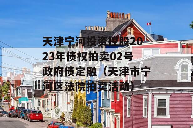 天津宁河投资控股2023年债权拍卖02号政府债定融（天津市宁河区法院拍卖活动）