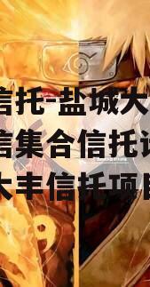 央企信托-盐城大丰非标政信集合信托计划（盐城大丰信托项目）