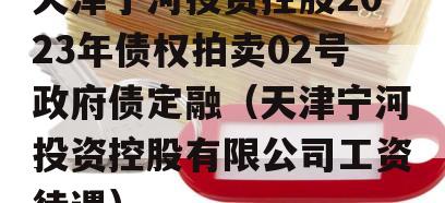 天津宁河投资控股2023年债权拍卖02号政府债定融（天津宁河投资控股有限公司工资待遇）