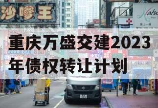 重庆万盛交建2023年债权转让计划