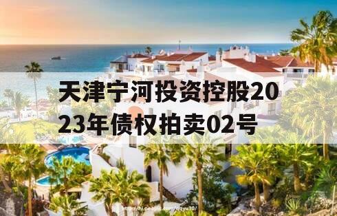 天津宁河投资控股2023年债权拍卖02号