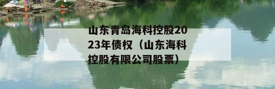 山东青岛海科控股2023年债权（山东海科控股有限公司股票）