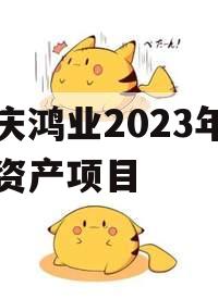 重庆鸿业2023年债权资产项目