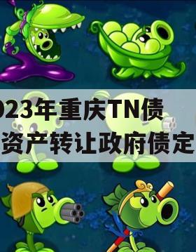 2023年重庆TN债权资产转让政府债定融