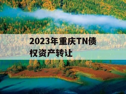 2023年重庆TN债权资产转让