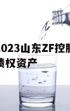 2023山东ZF控股债权资产