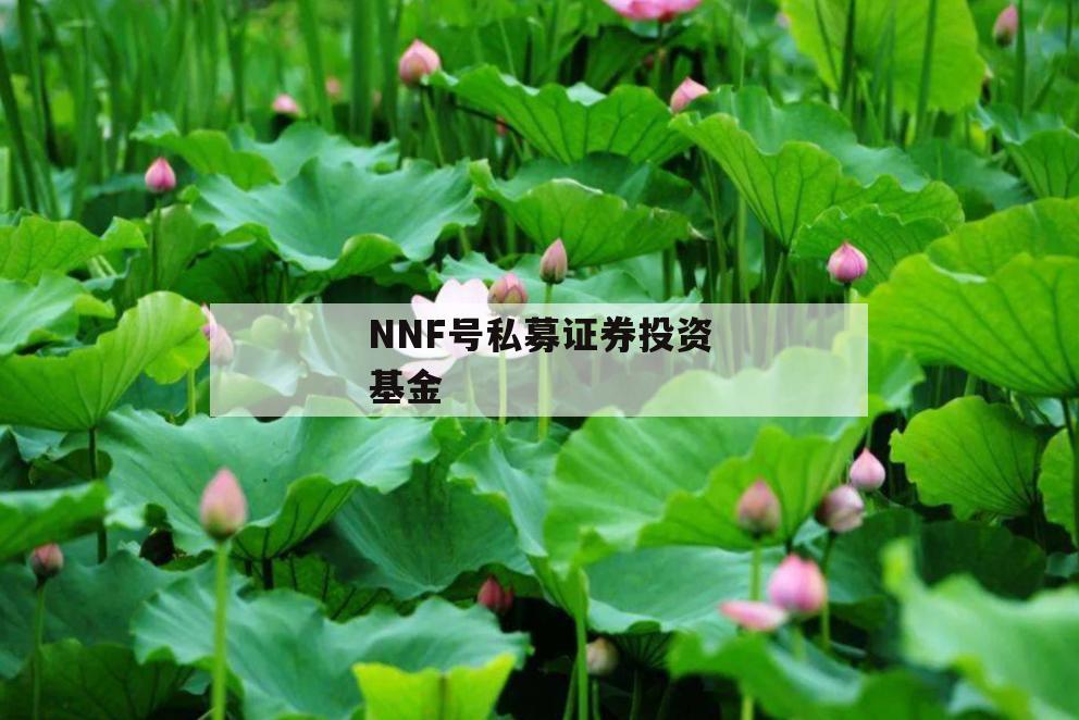 NNF号私募证券投资基金