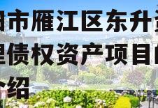 资阳市雁江区东升资产管理债权资产项目的简单介绍