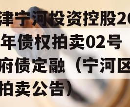 天津宁河投资控股2023年债权拍卖02号政府债定融（宁河区法院拍卖公告）