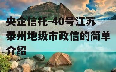 央企信托-40号江苏泰州地级市政信的简单介绍