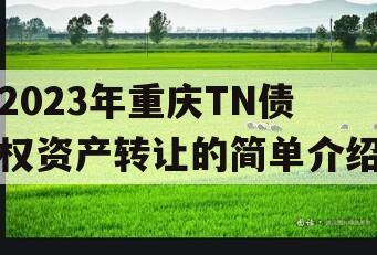 2023年重庆TN债权资产转让的简单介绍