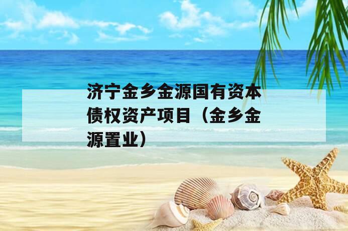 济宁金乡金源国有资本债权资产项目（金乡金源置业）