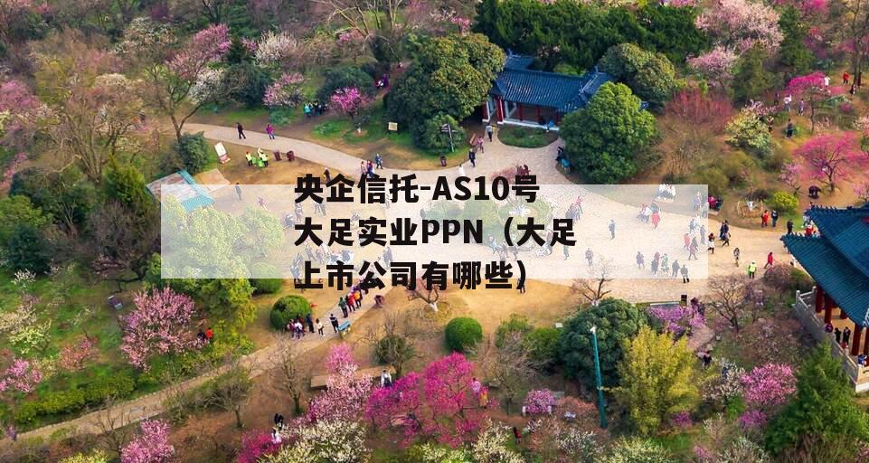 央企信托-AS10号大足实业PPN（大足上市公司有哪些）