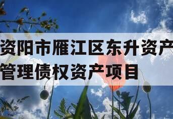 资阳市雁江区东升资产管理债权资产项目