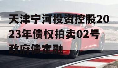 天津宁河投资控股2023年债权拍卖02号政府债定融