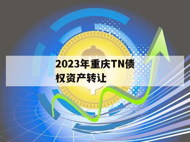 2023年重庆TN债权资产转让