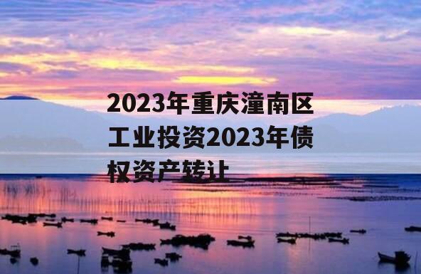 2023年重庆潼南区工业投资2023年债权资产转让