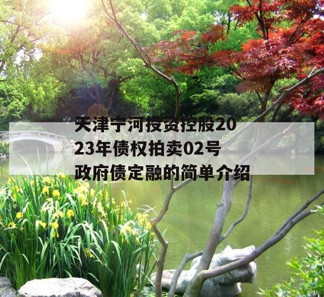 天津宁河投资控股2023年债权拍卖02号政府债定融的简单介绍