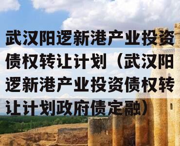 武汉阳逻新港产业投资债权转让计划（武汉阳逻新港产业投资债权转让计划政府债定融）