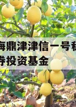 滨海鼎津津信一号私募证券投资基金