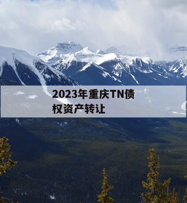 2023年重庆TN债权资产转让