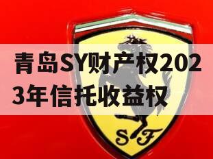 青岛SY财产权2023年信托收益权