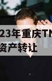 2023年重庆TN债权资产转让