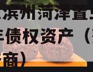 山东滨州菏泽置业2023年债权资产（菏泽地产商）