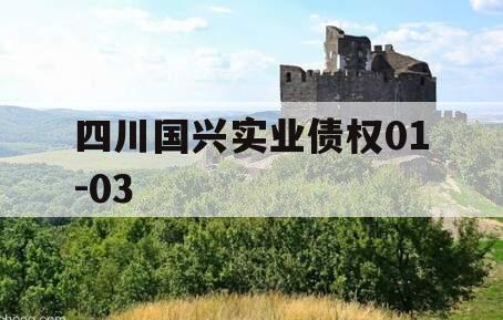 四川国兴实业债权01-03