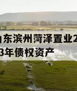 山东滨州菏泽置业2023年债权资产