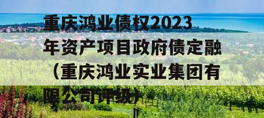 重庆鸿业债权2023年资产项目政府债定融（重庆鸿业实业集团有限公司评级）