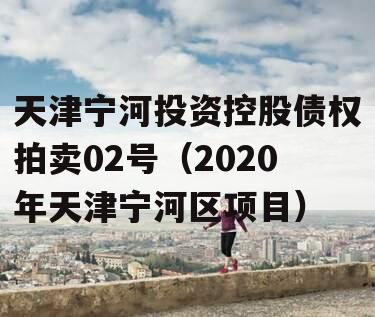 天津宁河投资控股债权拍卖02号（2020年天津宁河区项目）