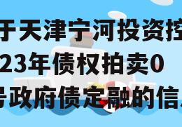 关于天津宁河投资控股2023年债权拍卖02号政府债定融的信息