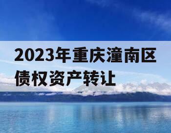 2023年重庆潼南区债权资产转让