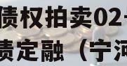 天津宁河投资控股2023年债权拍卖02号政府债定融（宁河投资有限公司）