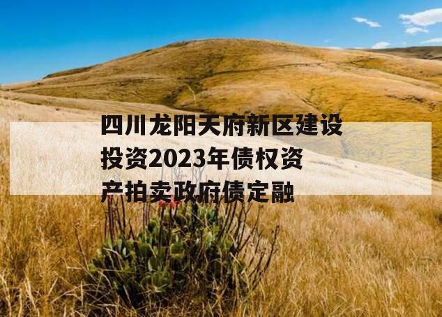 四川龙阳天府新区建设投资2023年债权资产拍卖政府债定融