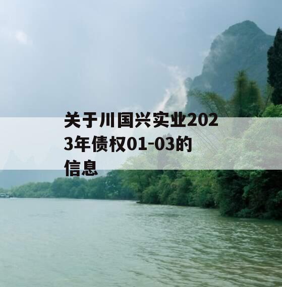 关于川国兴实业2023年债权01-03的信息