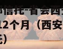 头部信托-省会西安政信-12个月（西安 信托）