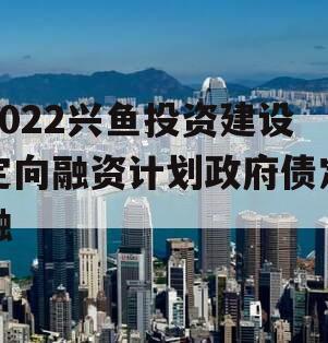 2022兴鱼投资建设定向融资计划政府债定融