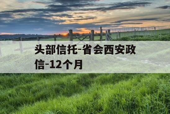 头部信托-省会西安政信-12个月