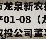 成都市龙泉新农投资债权资产01-08（龙泉驿农投公司董事长）