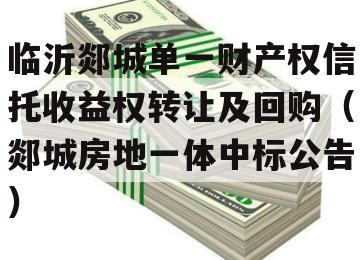 临沂郯城单一财产权信托收益权转让及回购（郯城房地一体中标公告）