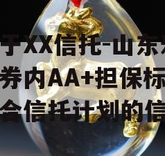 关于XX信托-山东寿光券内AA+担保标债集合信托计划的信息