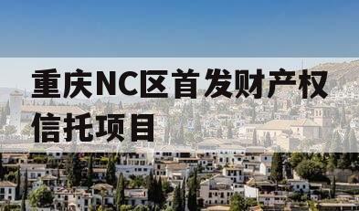 重庆NC区首发财产权信托项目