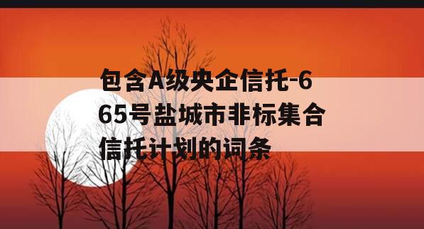 包含A级央企信托-665号盐城市非标集合信托计划的词条