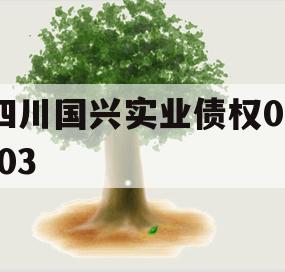 四川国兴实业债权01-03