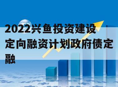 2022兴鱼投资建设定向融资计划政府债定融