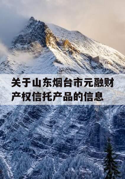 关于山东烟台市元融财产权信托产品的信息