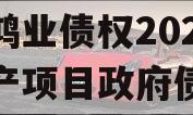 重庆鸿业债权2023年资产项目政府债定融